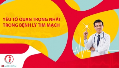 YẾU TỐ QUAN TRỌNG TRONG BỆNH LÝ TIM MẠCH